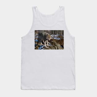 Timber Wolf Tank Top